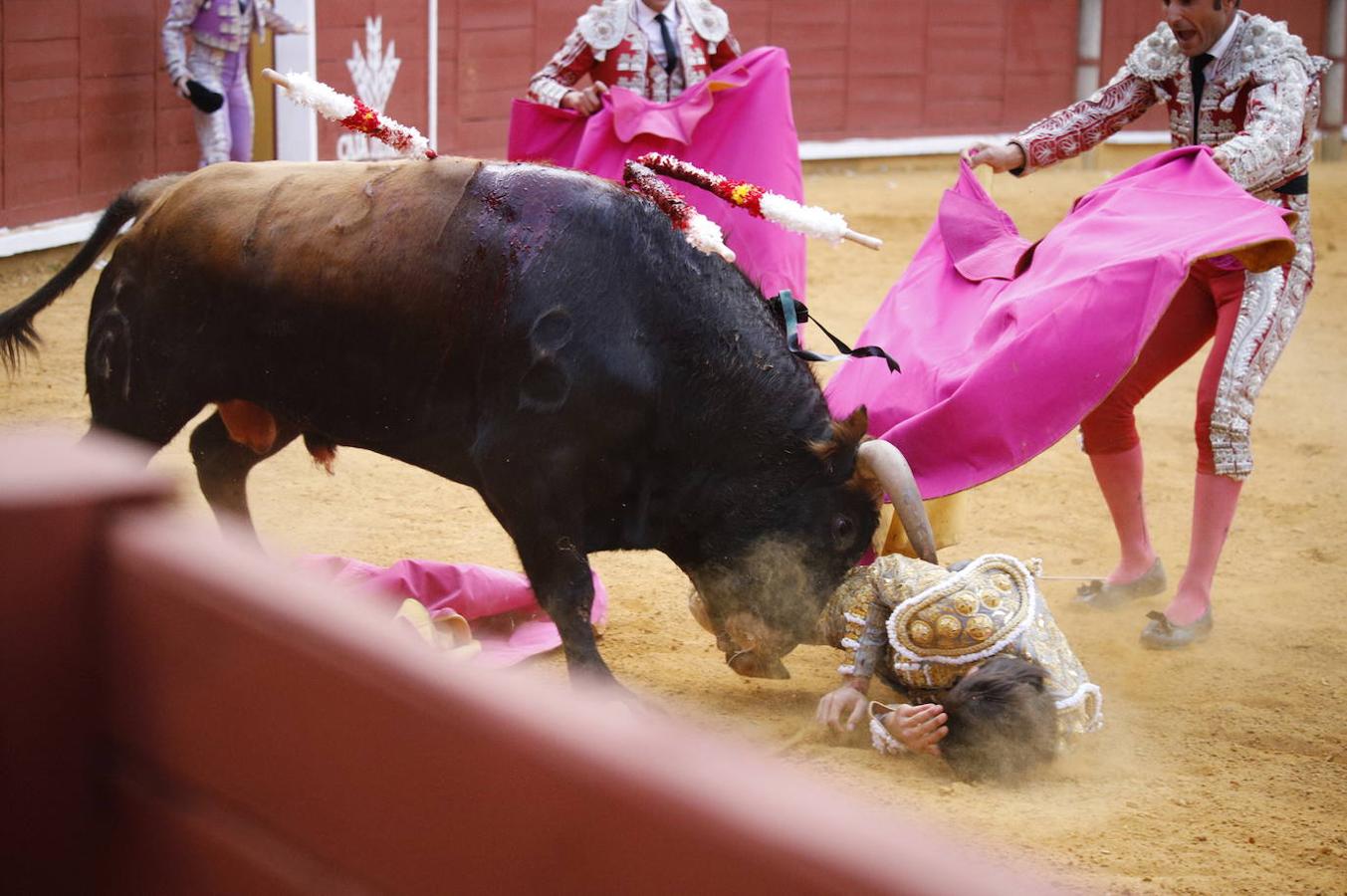 La novillada que ha abierto la Feria de Córdoba, en imágenes