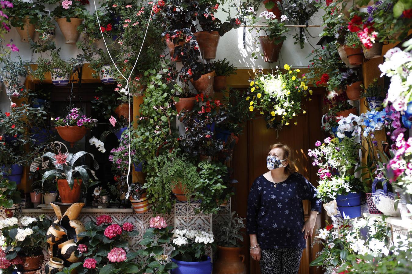 Patios de Córdoba 2021 | La ruta de San Lorenzo, en imágenes