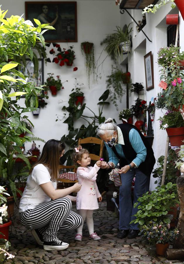 Patios de Córdoba 2021 | La ruta de San Lorenzo, en imágenes