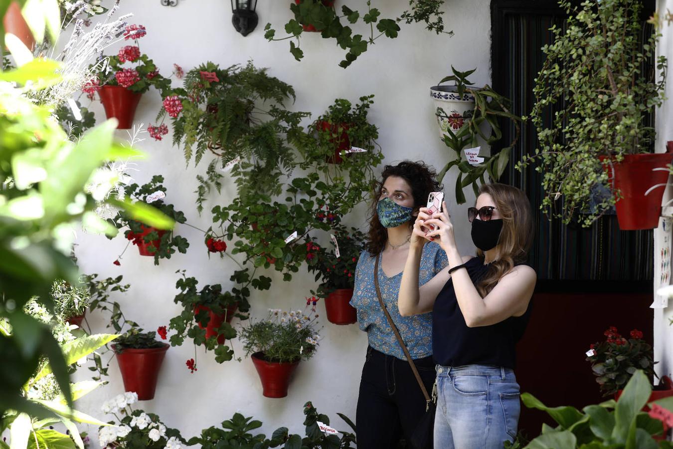 Patios de Córdoba 2021 | La ruta de San Lorenzo, en imágenes