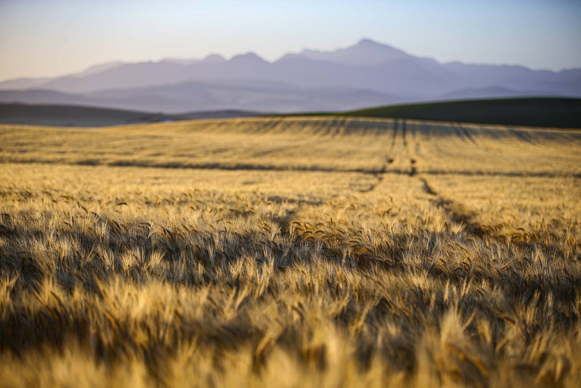 FOTOS: La etapa del Rally Andalucía 2021, en Cádiz