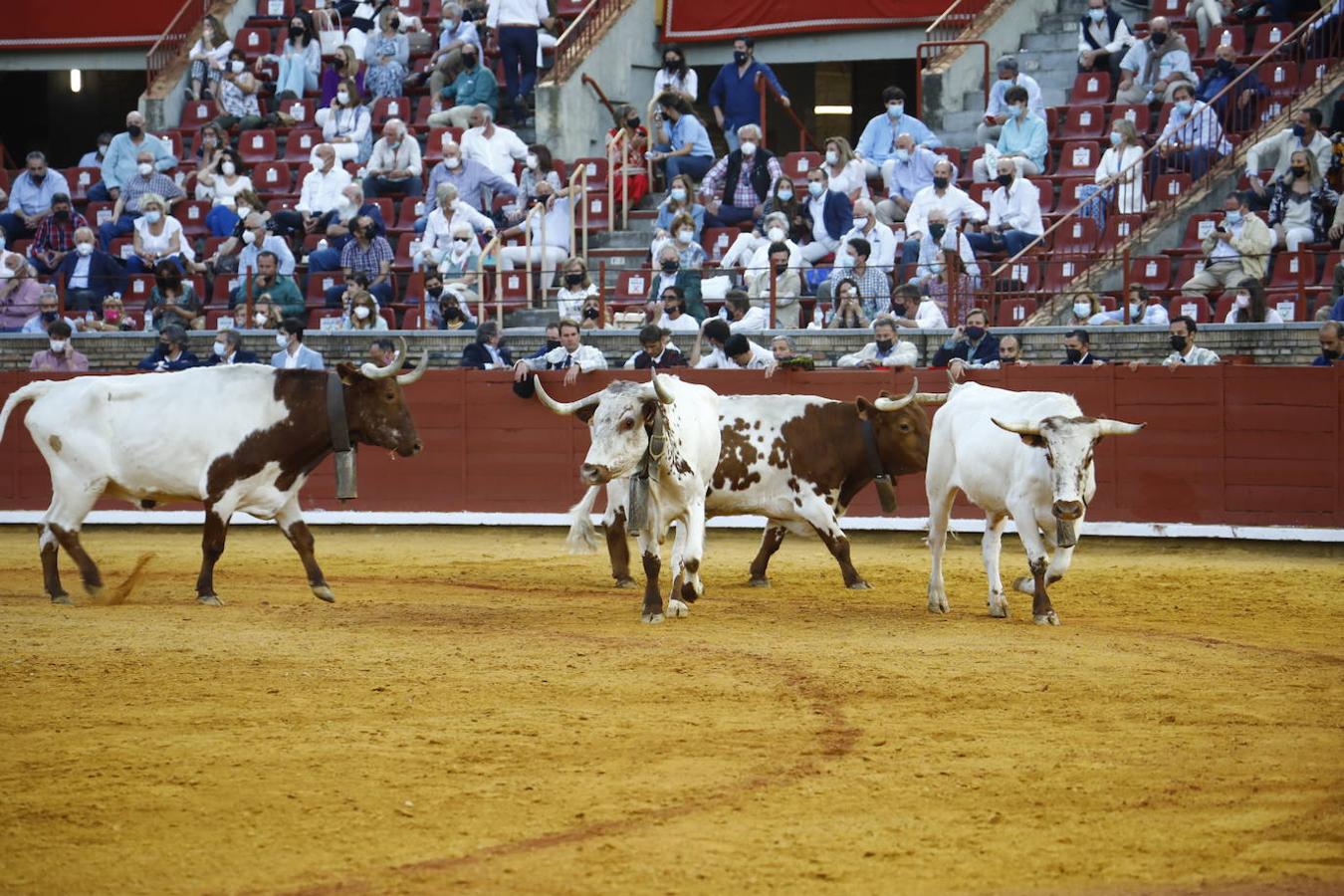 Toros en Córdoba | La primera corrida de la Feria de Mayo, en imágenes