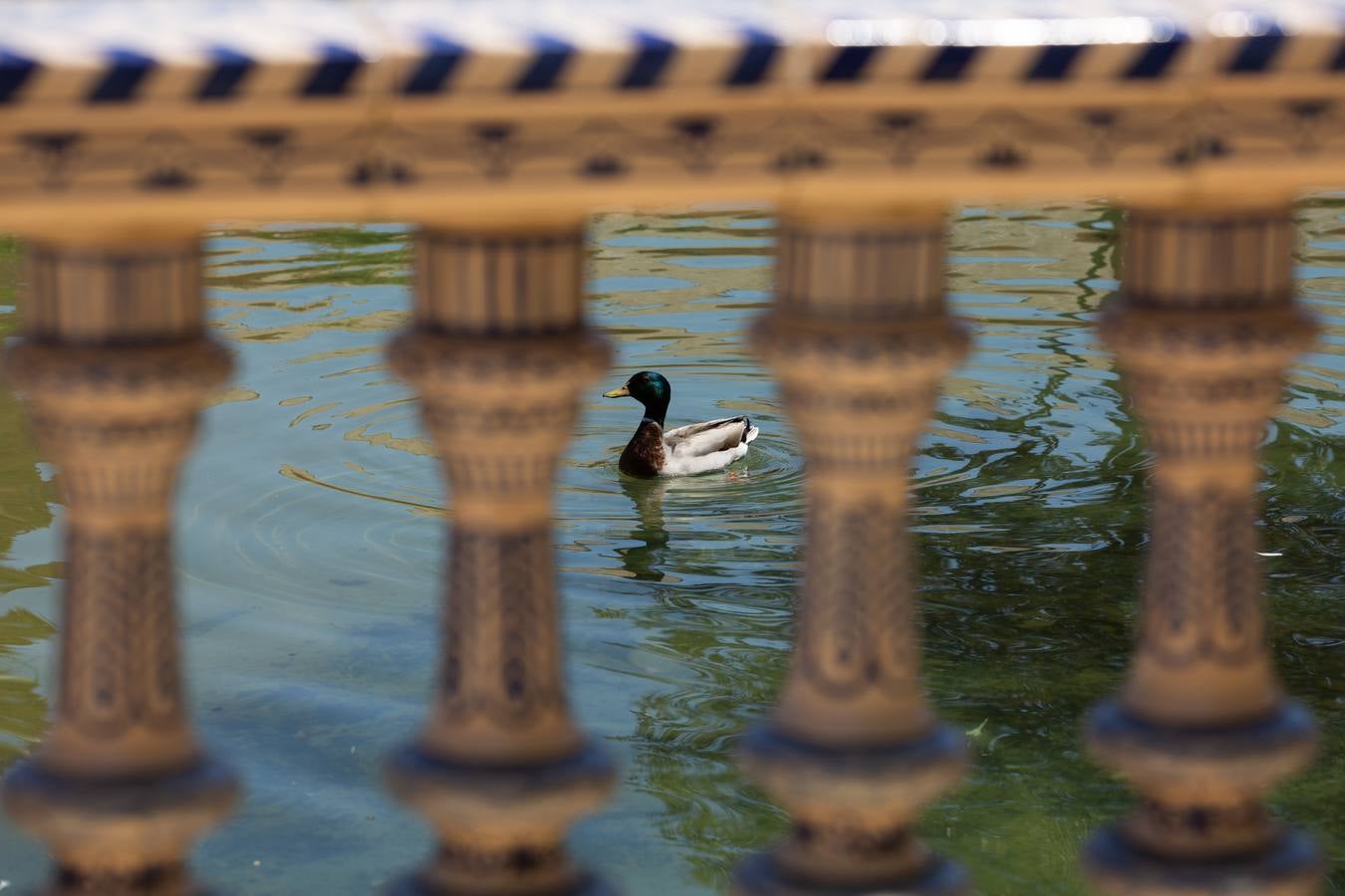 Ambiente veraniego en Sevilla