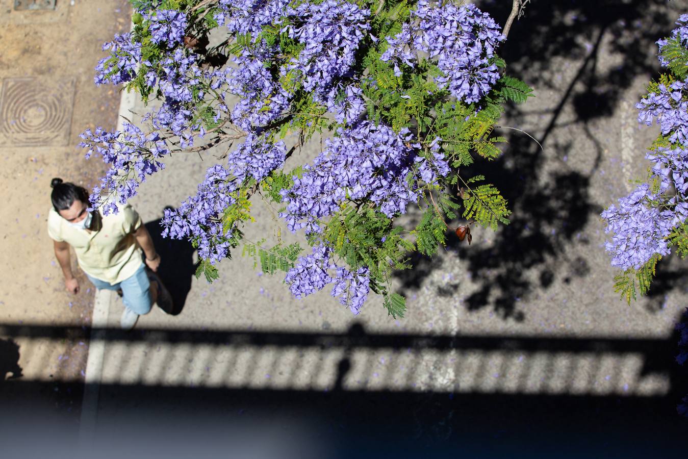 Ambiente veraniego en Sevilla