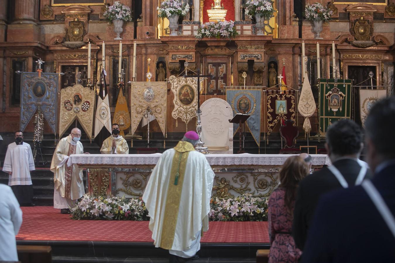 La cita de las hermandades de Gloria en la Catedral de Córdoba, en imágenes