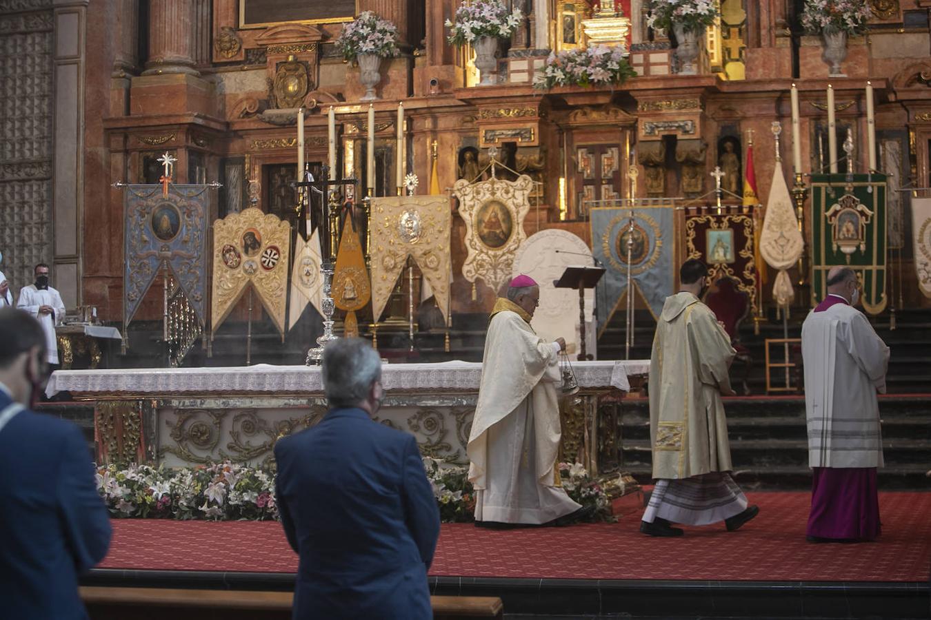 La cita de las hermandades de Gloria en la Catedral de Córdoba, en imágenes