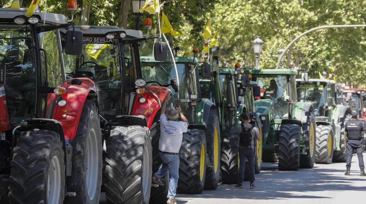 Tractorada para pedir agua para los cultivos del Bajo Guadalquivir