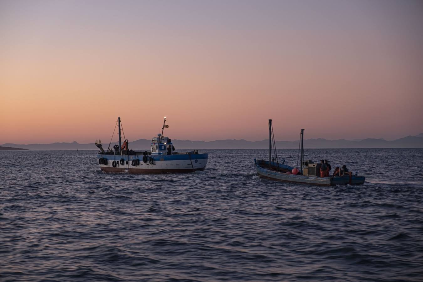 Artesanos del atún rojo salvaje en Cádiz