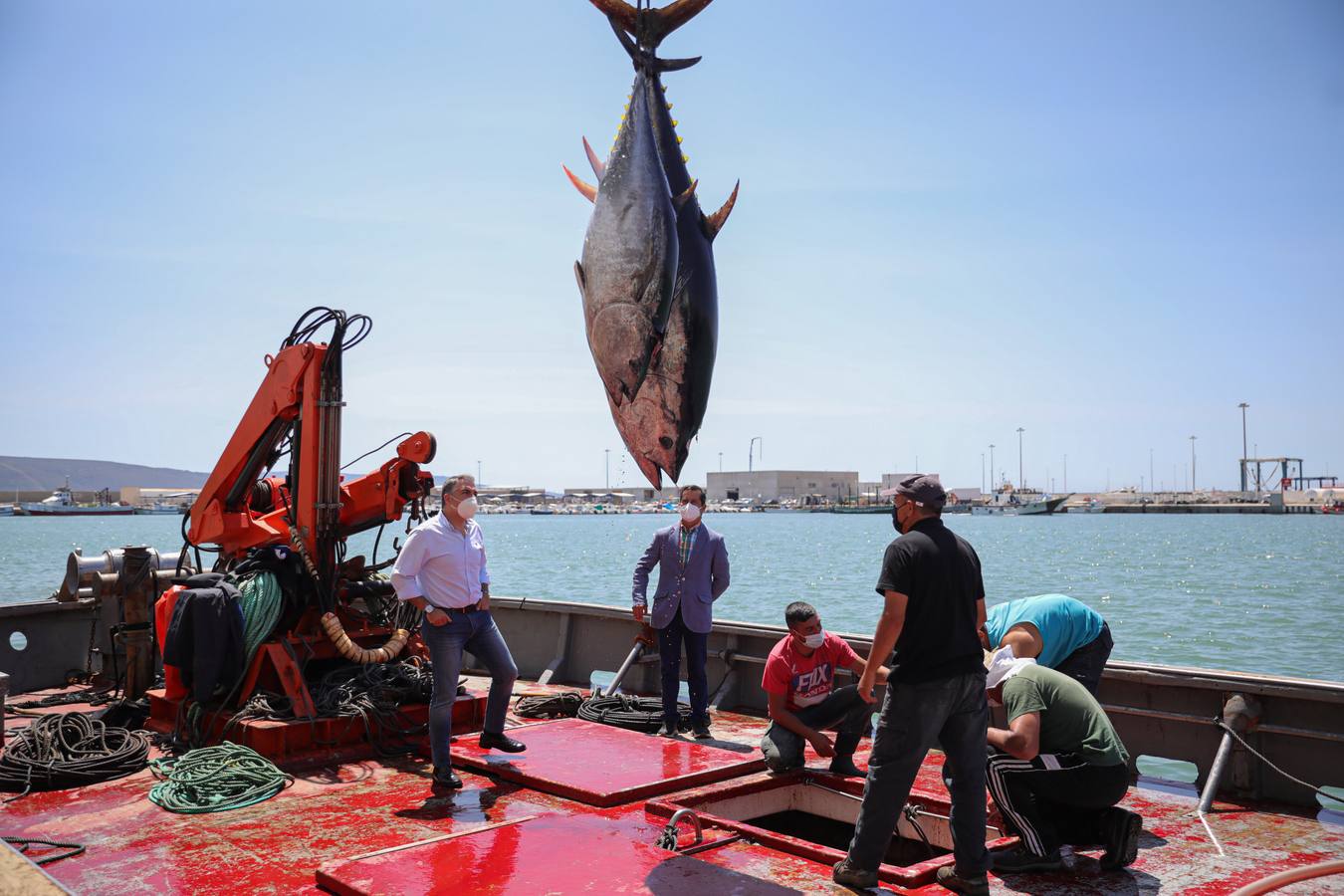 Fotos: Elías Bendodo, en un ronqueo de atún en Barbate