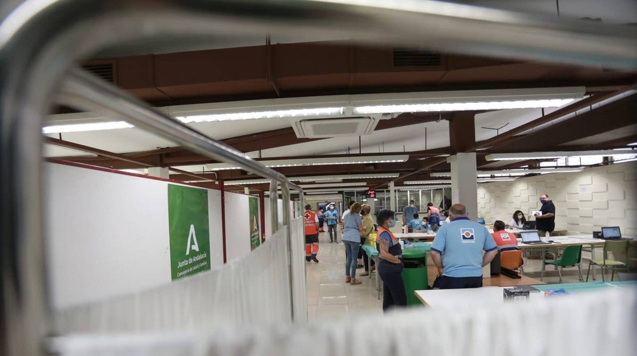 En imágenes, la biblioteca de la Facultad de Matemáticas de Sevilla empieza a funcionar como centro de vacunación