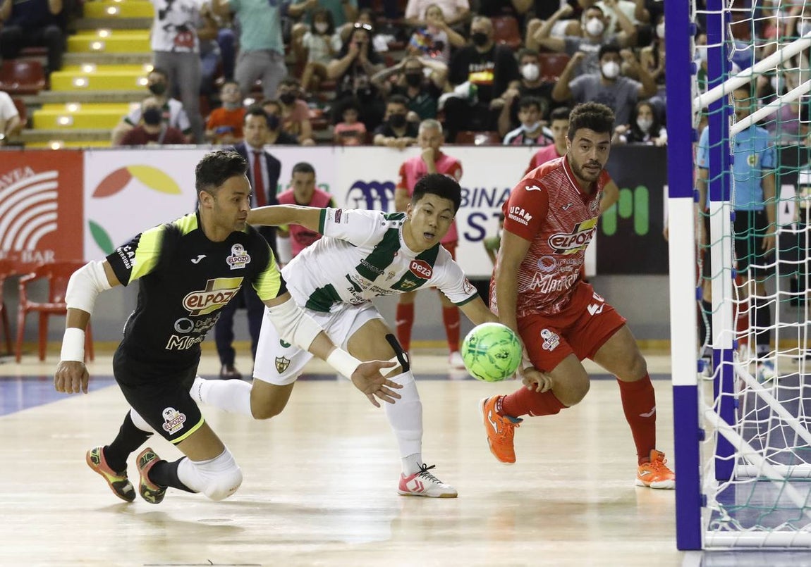 Las mejores imágenes del Córdoba Patrimonio - ElPozo Murcia