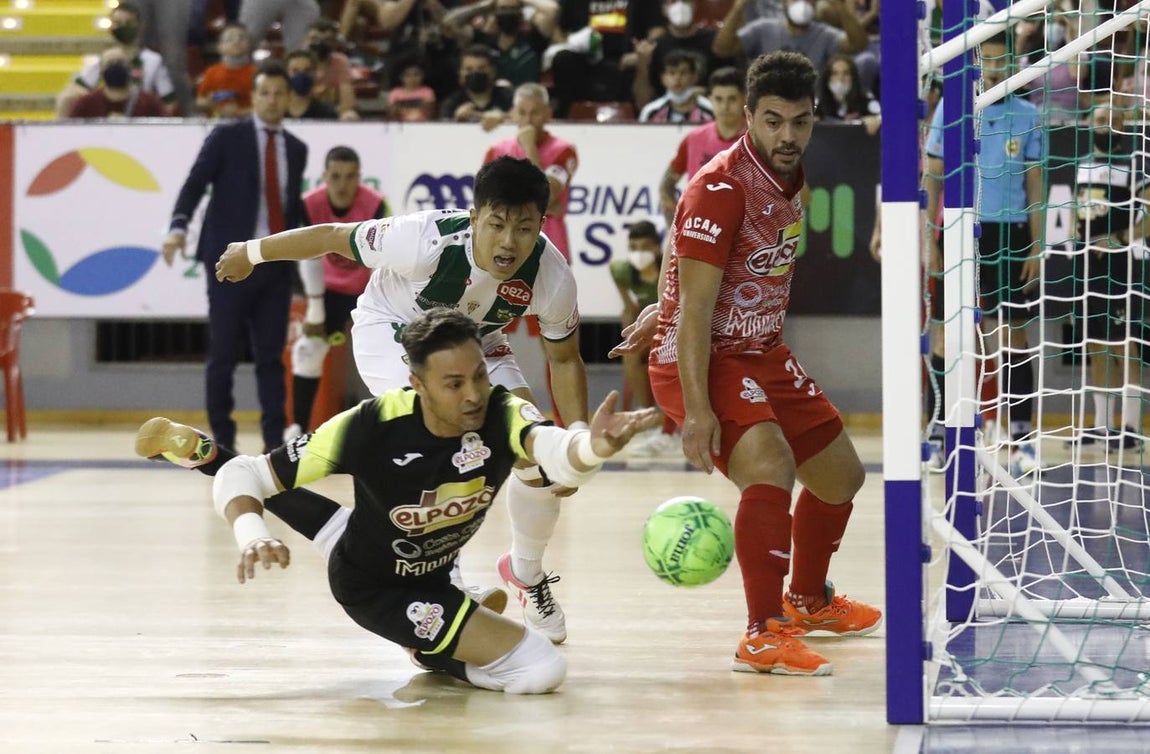 Las mejores imágenes del Córdoba Patrimonio - ElPozo Murcia