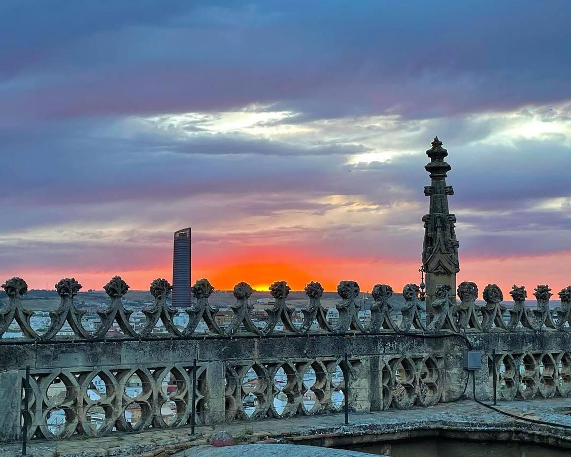 La magia de la Sevilla nocturna, protagonista de las imágenes recibidas en el reto fotográfico de ABC