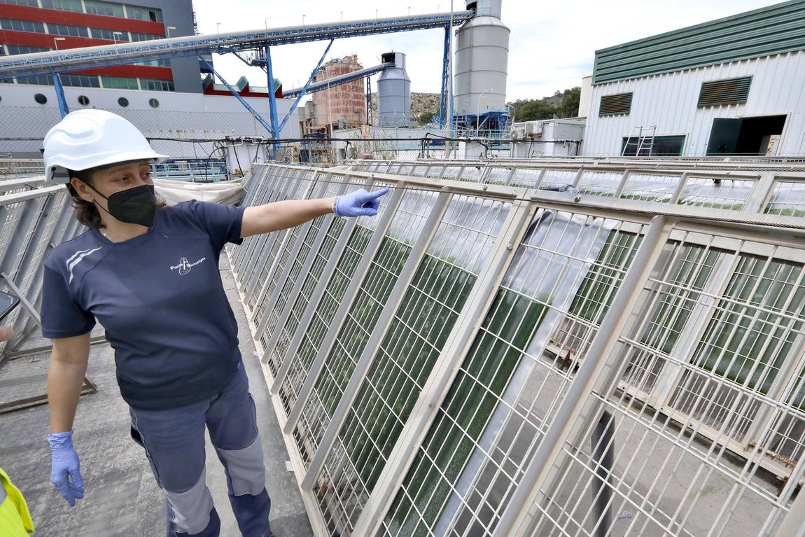 Central térmica de Carboneras