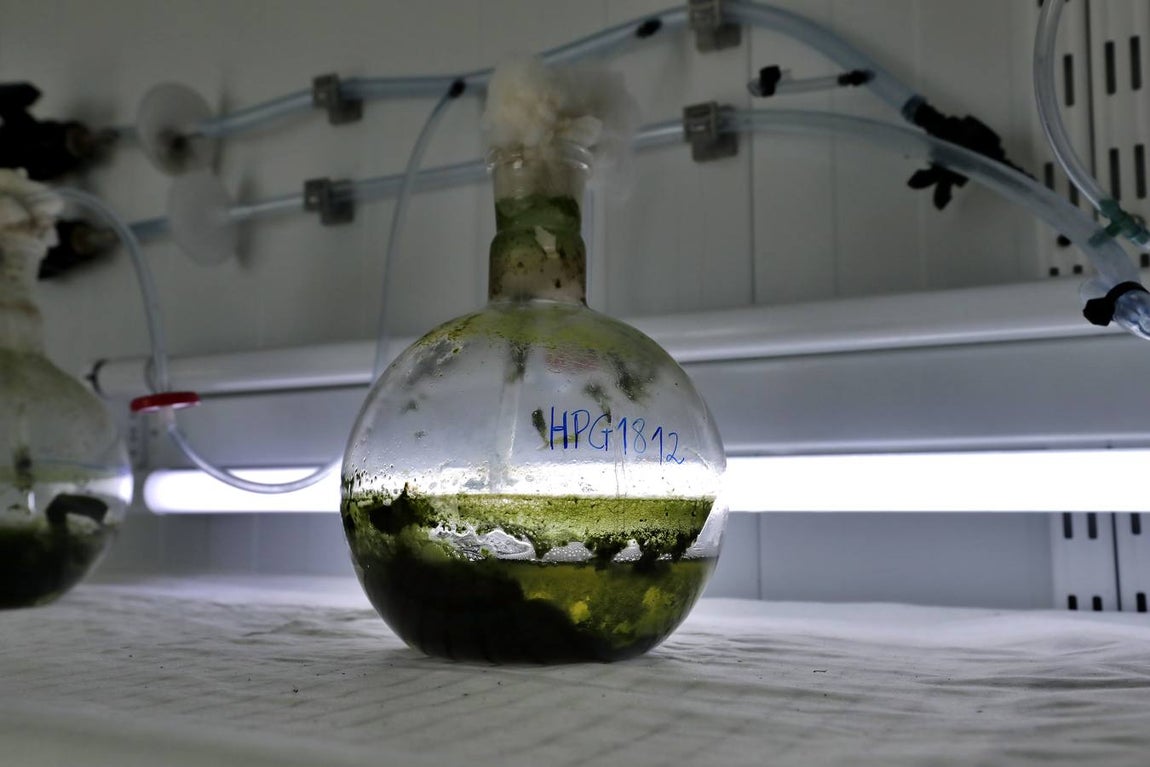 Central térmica de Carboneras