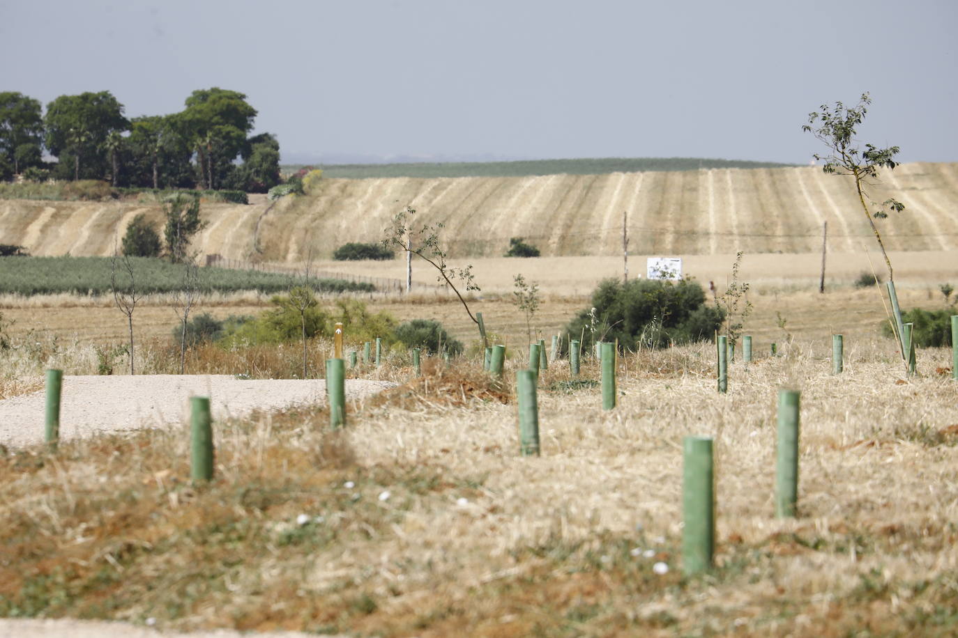 La inauguración de la primera fase del Cinturón Verde de Córdoba, en imágenes