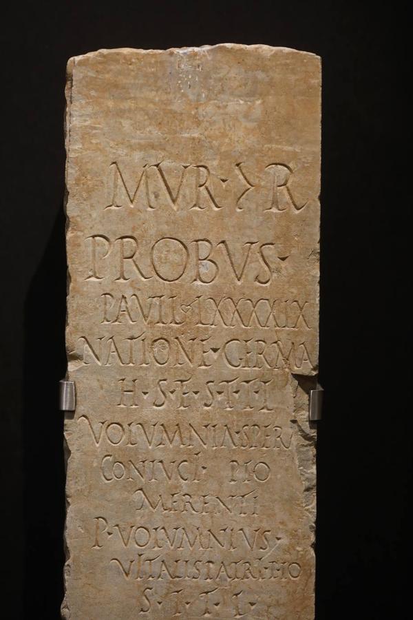 Probus, de origen germano. Su mujer e hijo pagaron la lápida. Aparece el numeral 99, que podría referirse a la edad de fallecimiento o el número de combates, probablemente esto último, lo que lo convertiría en uno de los gladiadores más afamados de todo el Imperio