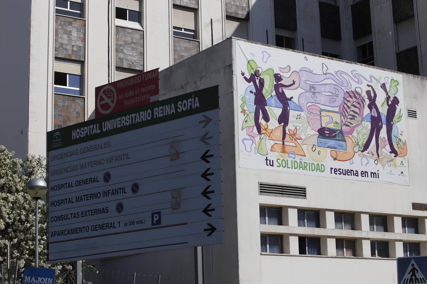 El mural de internos del Centro de Menores para los donantes de órganos de Córdoba, en imágenes