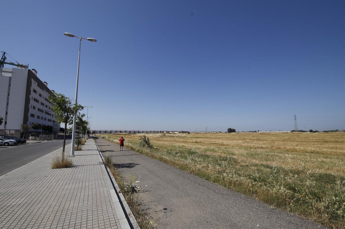 La Huerta de Santa Isabel Oeste de Córdoba, en imágenes