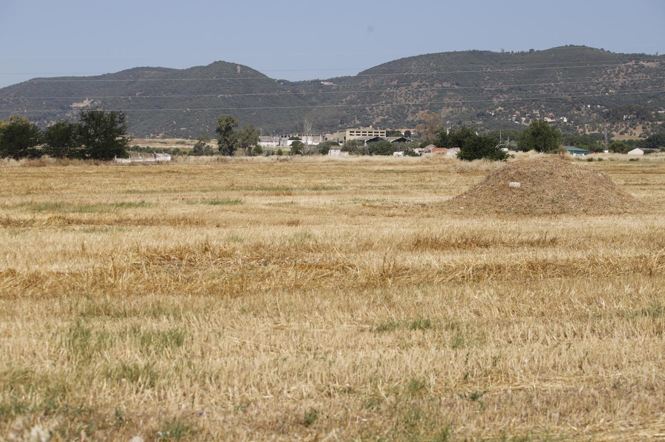 La Huerta de Santa Isabel Oeste de Córdoba, en imágenes