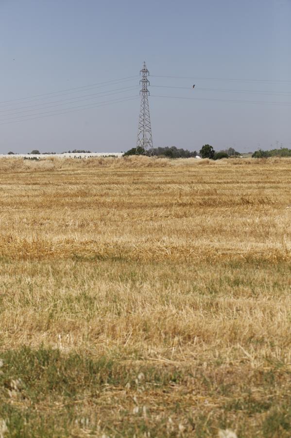 La Huerta de Santa Isabel Oeste de Córdoba, en imágenes