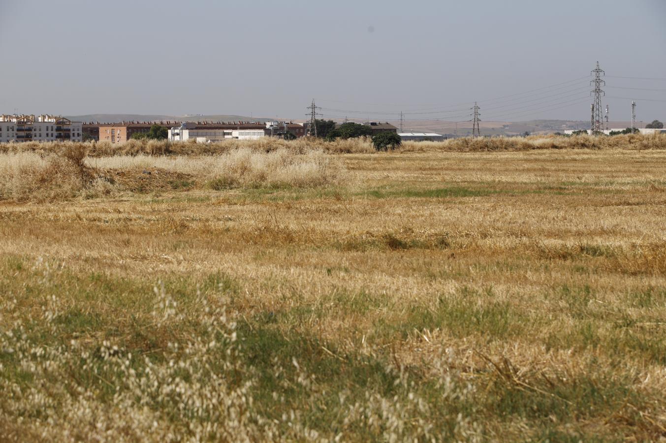 La Huerta de Santa Isabel Oeste de Córdoba, en imágenes