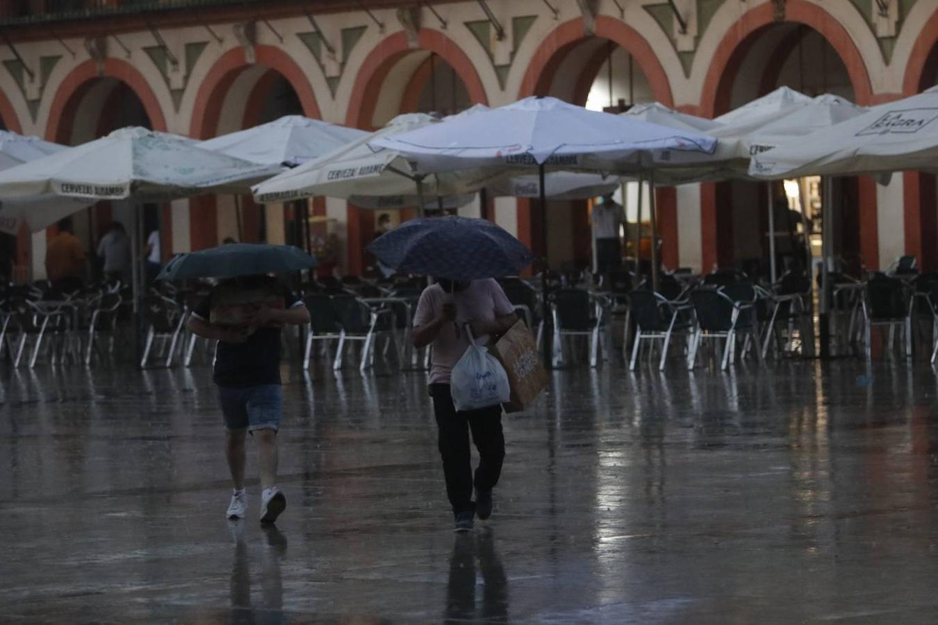 La fuerte tormenta vivida en Córdoba, en imágenes