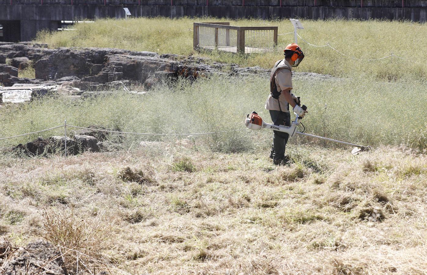 El enclave arqueológico de Cercadilla en Córdoba, en imágenes