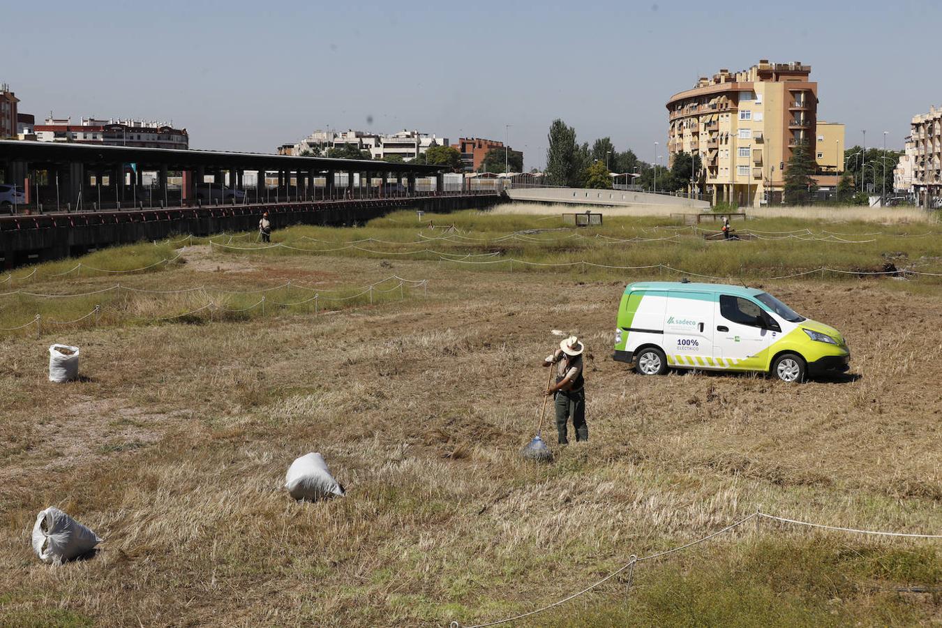 El enclave arqueológico de Cercadilla en Córdoba, en imágenes