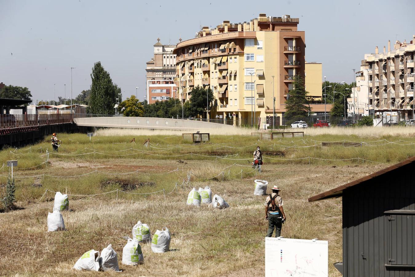 El enclave arqueológico de Cercadilla en Córdoba, en imágenes