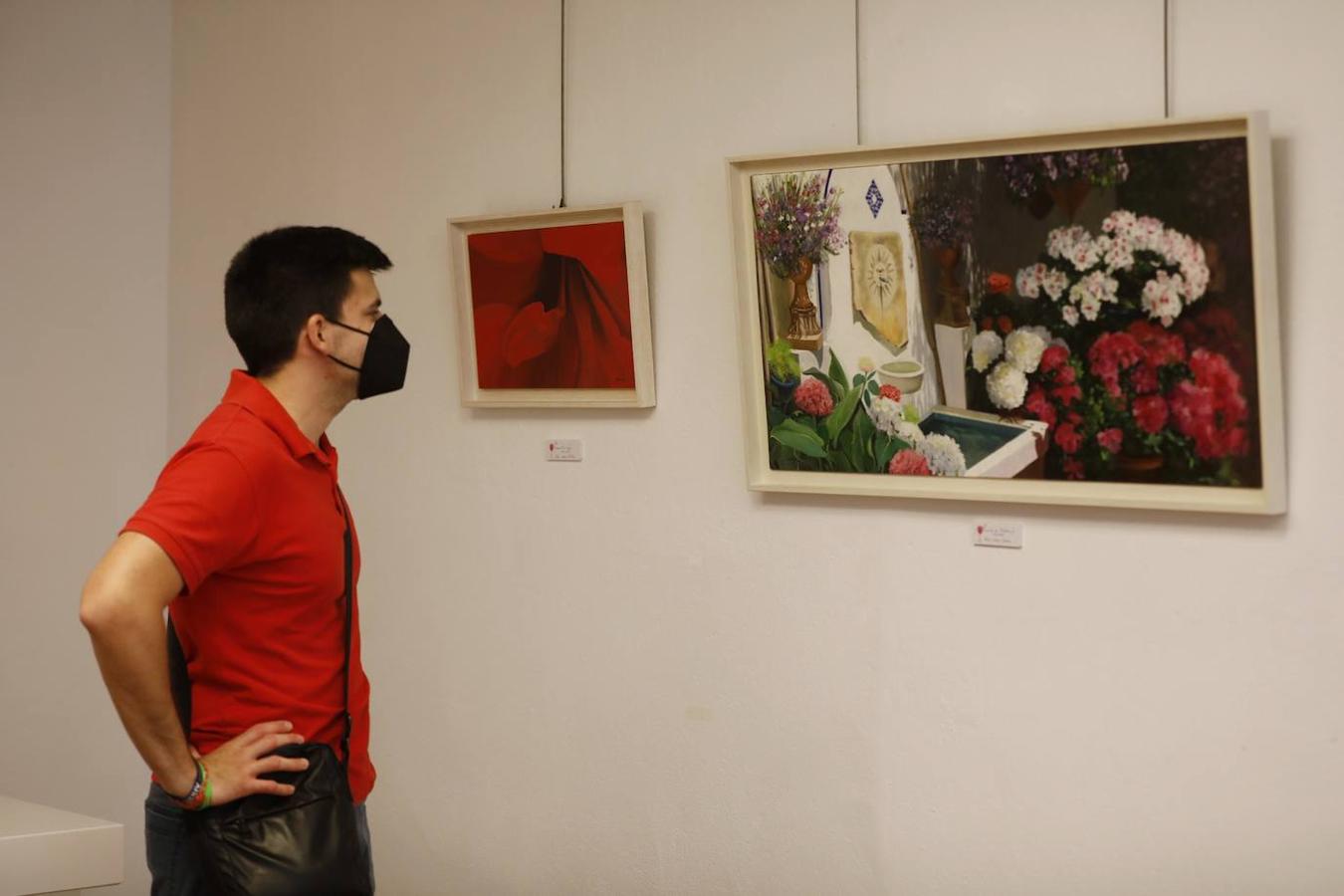 La exposición &quot;El color en los Patios de Córdoba&quot; de Viana, en imágenes