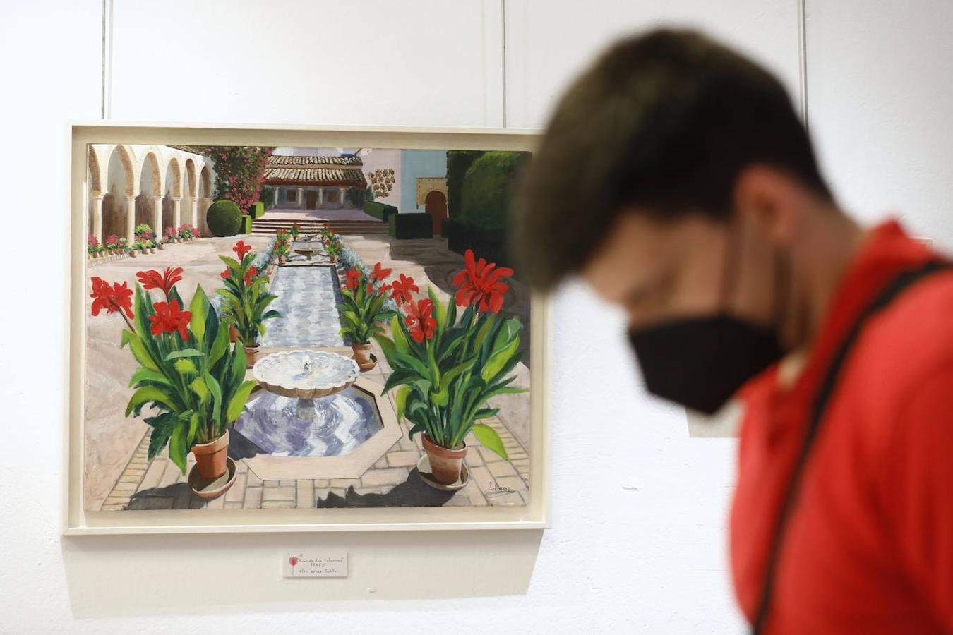 La exposición &quot;El color en los Patios de Córdoba&quot; de Viana, en imágenes