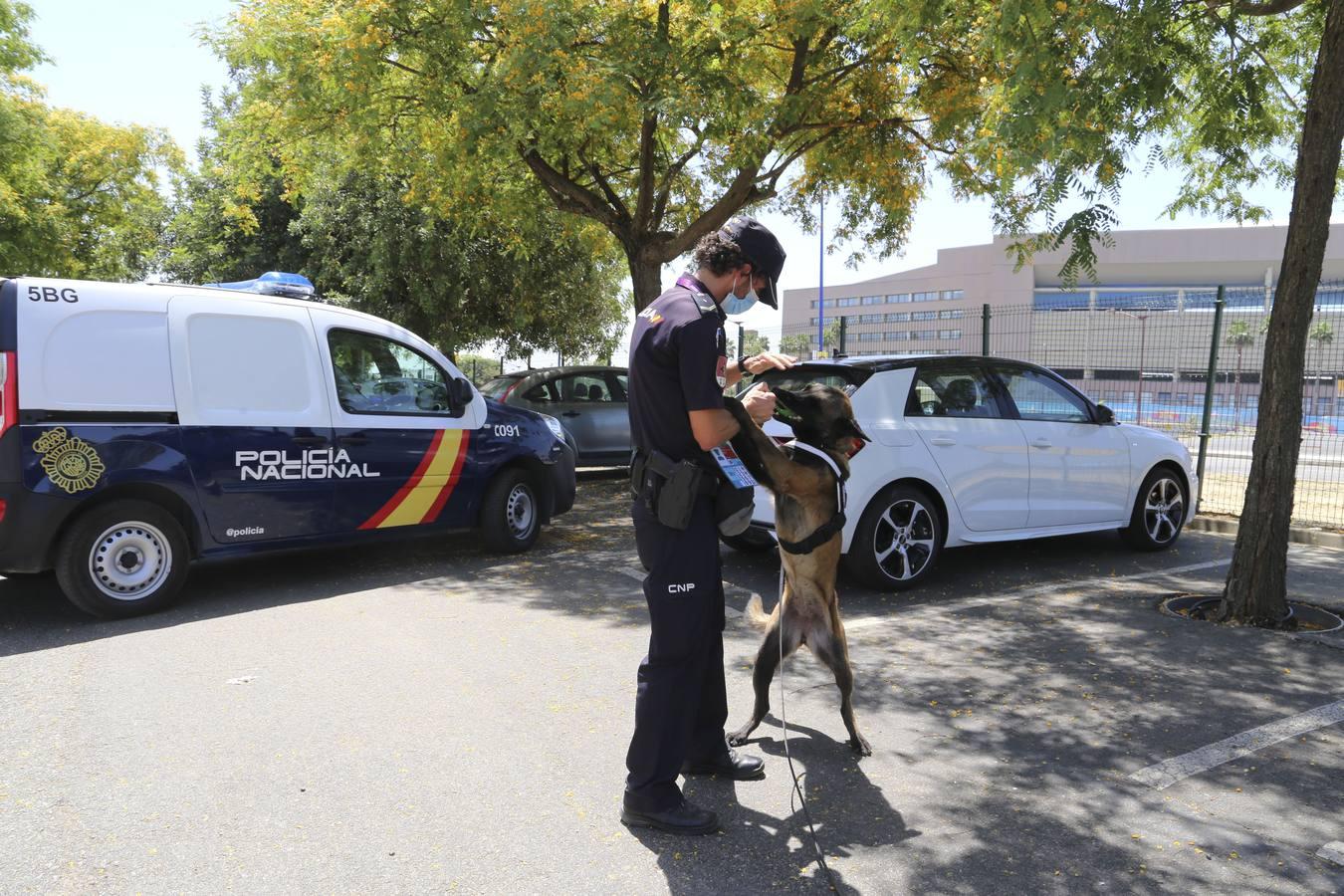 Eurocopa en Sevilla: Cerca de un millar de agentes se despliega en la ciudad para blindarla