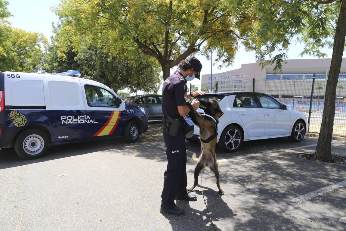 Sevilla se blinda para la Eurocopa 2020: el dispositivo policial, en imágenes
