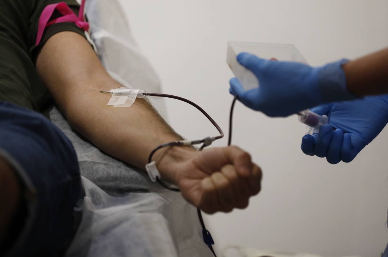 La donación de sangre en la Fundación Cajasol de Córdoba, en imágenes