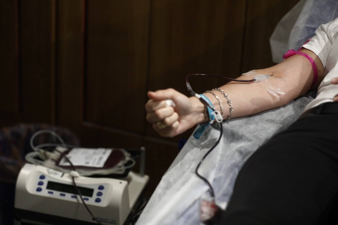 La donación de sangre en la Fundación Cajasol de Córdoba, en imágenes