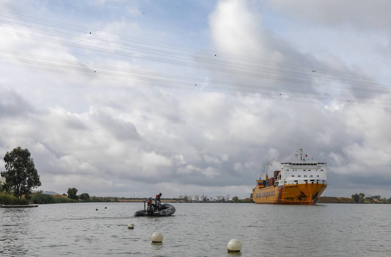 El camalote, la planta que invade de nuevo el Guadalquivir