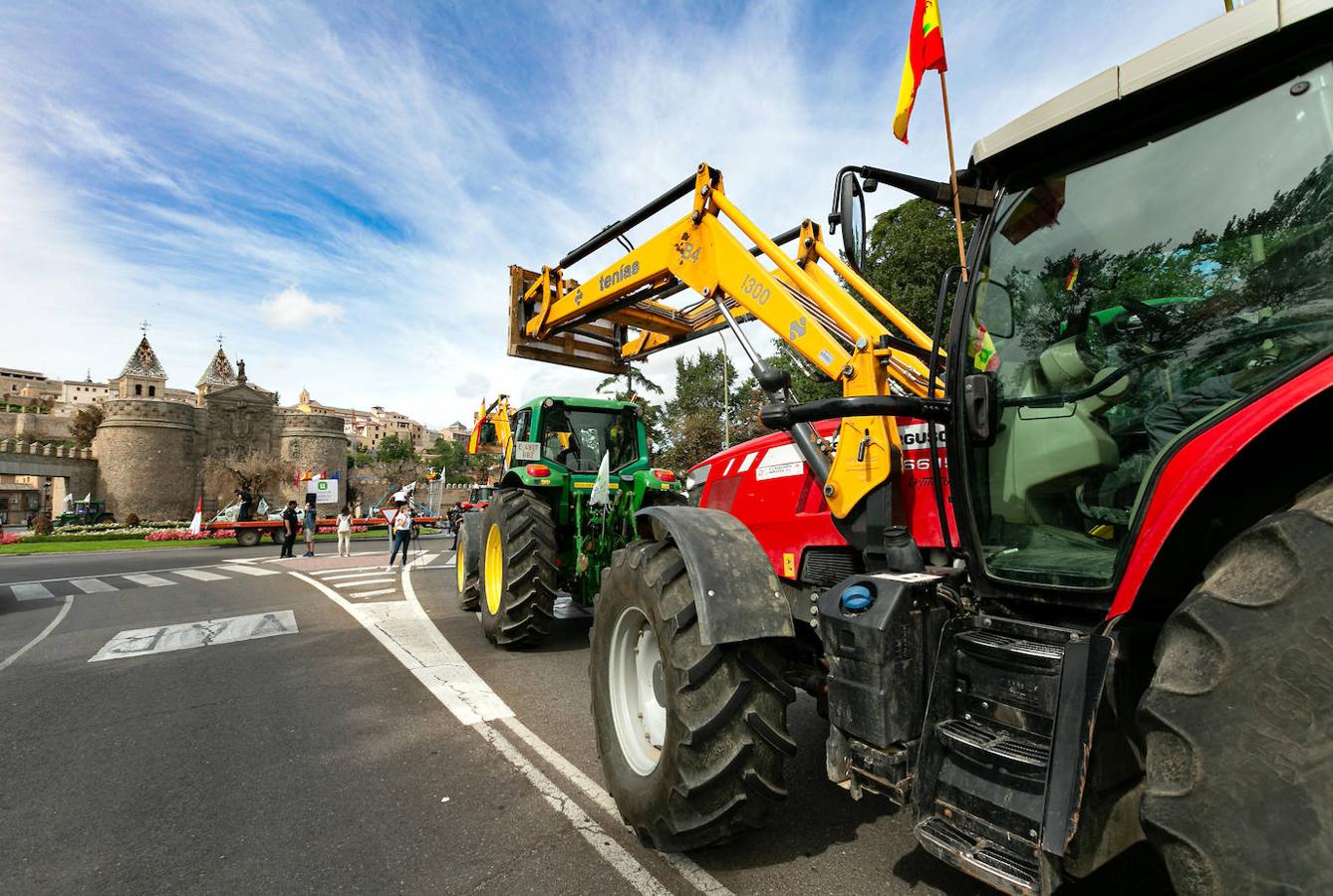 &#039;Tractorada&#039; en Toledo para exigir ayudas para el olivar afectado por Filomena