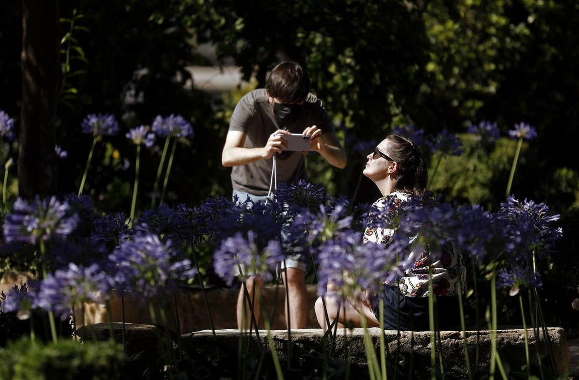 Ell turismo en el casco histórico de Córdoba, en imágenes