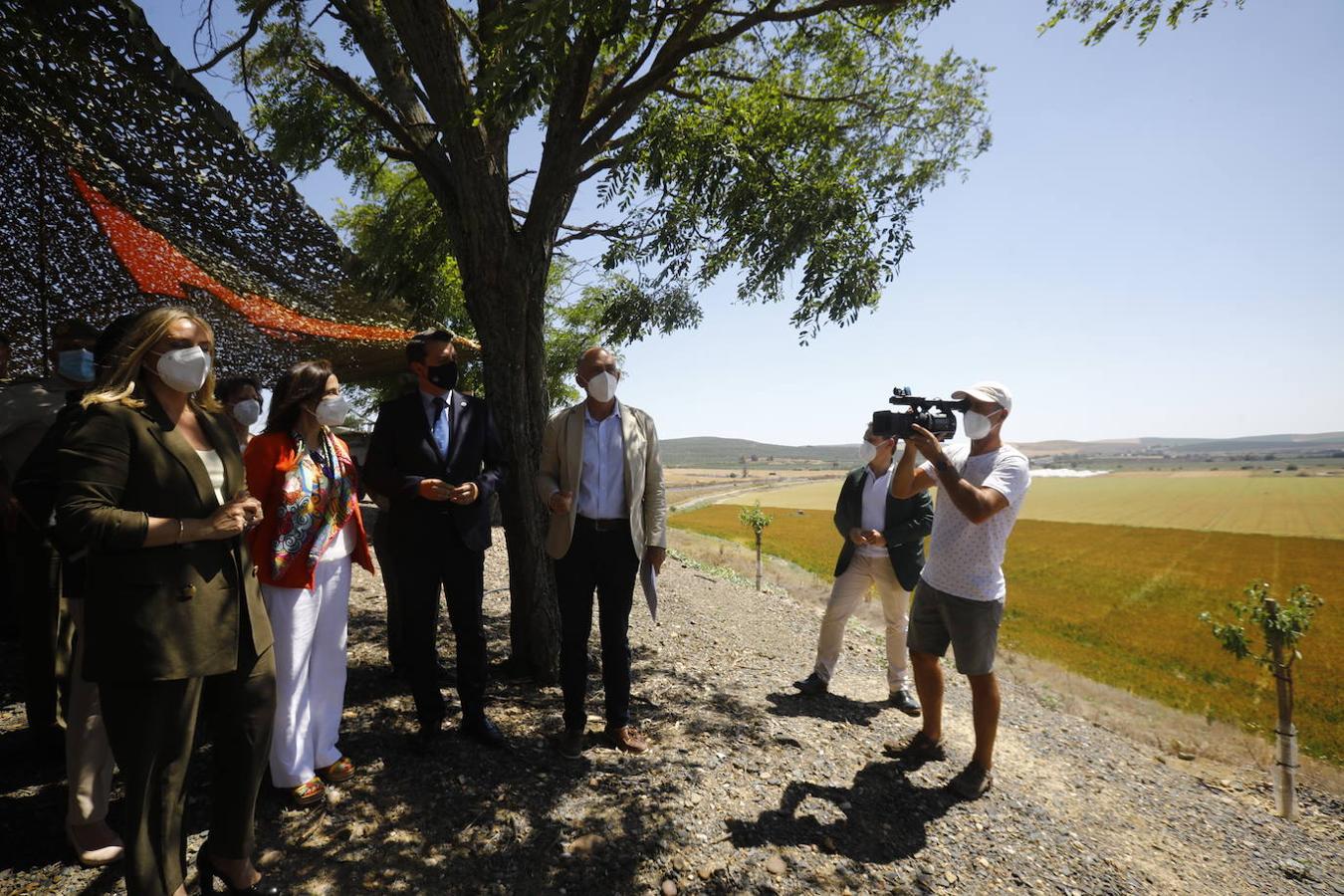 Los terrenos de Córdoba donde irá la Base Logística del Ejército, en imágenes