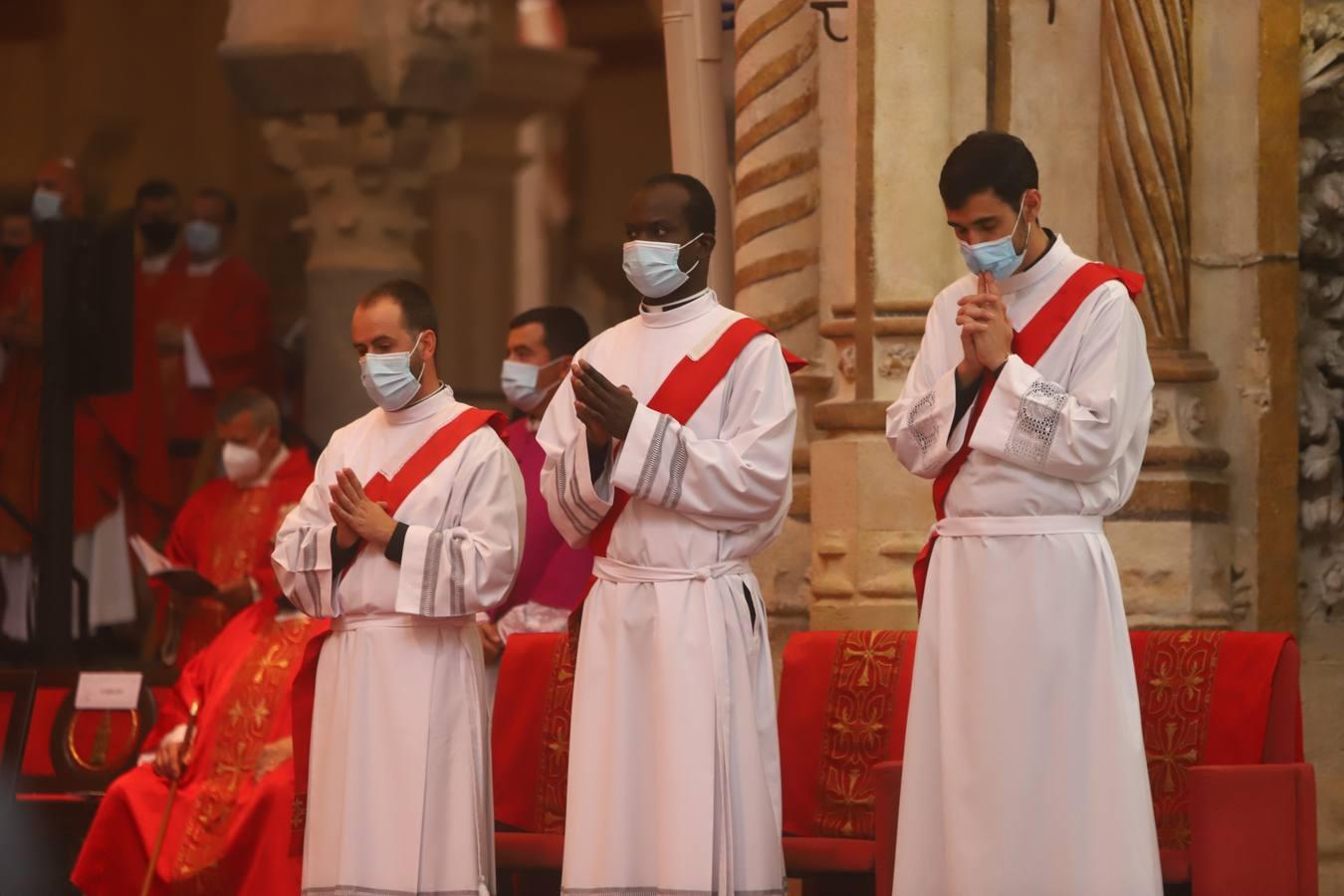 La ordenación de sacerdotes en la Catedral de Córdoba, en imágenes