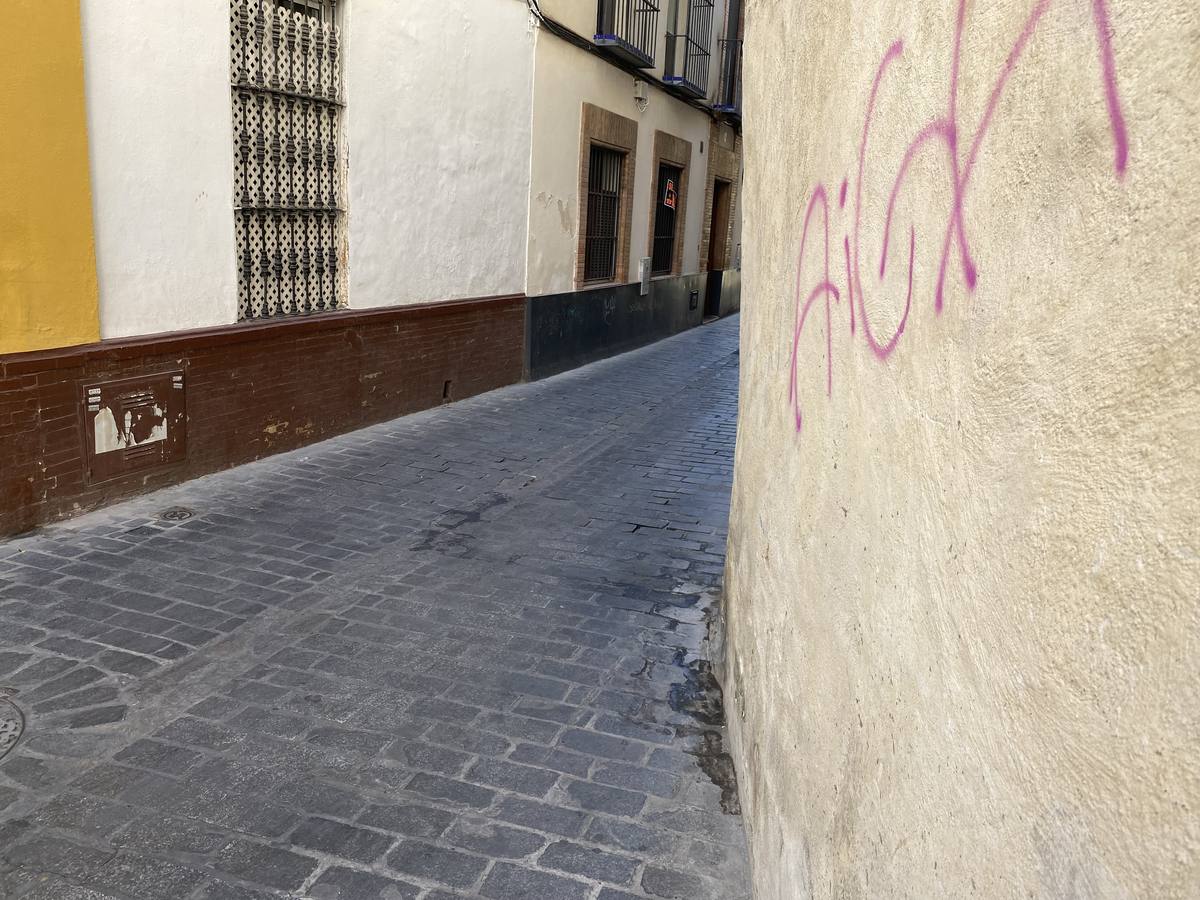 Costras de suciedad en las principales calles peatonales de Sevilla