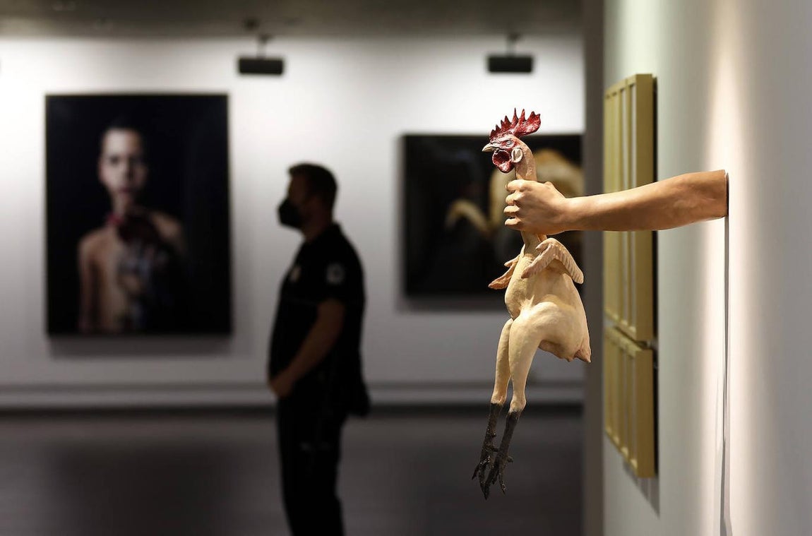 La exposición &#039;Animalario&#039;, en el centro Rafael Botí de Córdoba, en imágenes