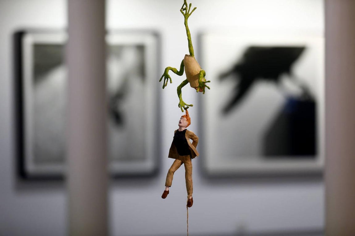 La exposición &#039;Animalario&#039;, en el centro Rafael Botí de Córdoba, en imágenes