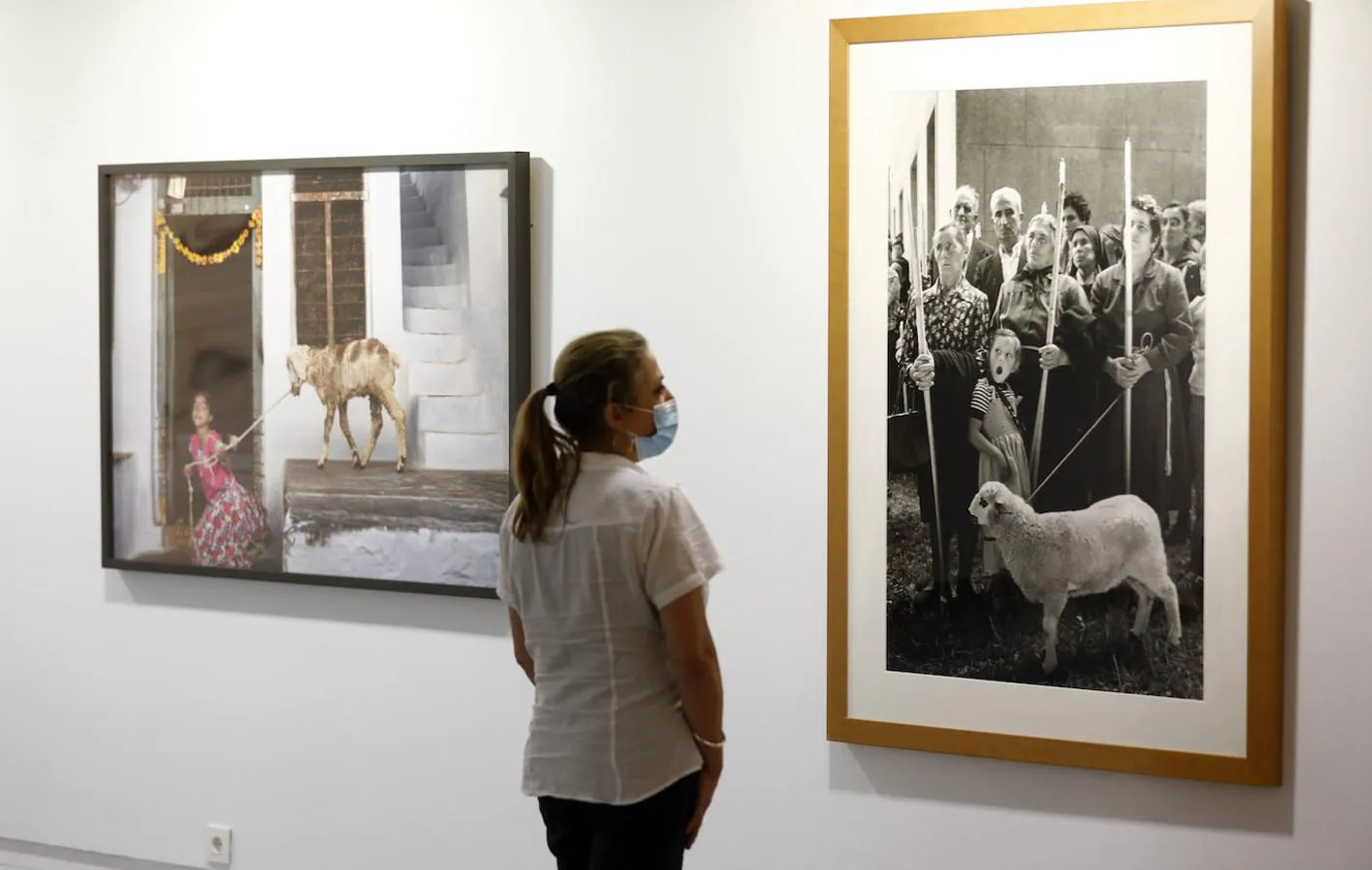 La exposición &#039;Animalario&#039;, en el centro Rafael Botí de Córdoba, en imágenes
