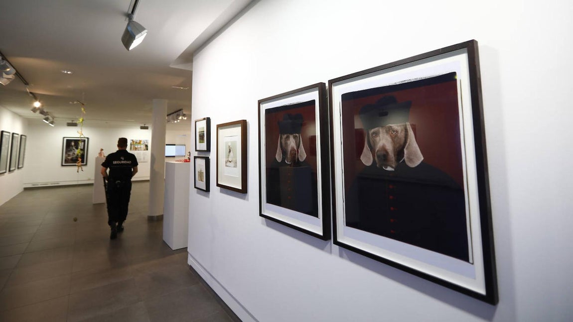 La exposición &#039;Animalario&#039;, en el centro Rafael Botí de Córdoba, en imágenes