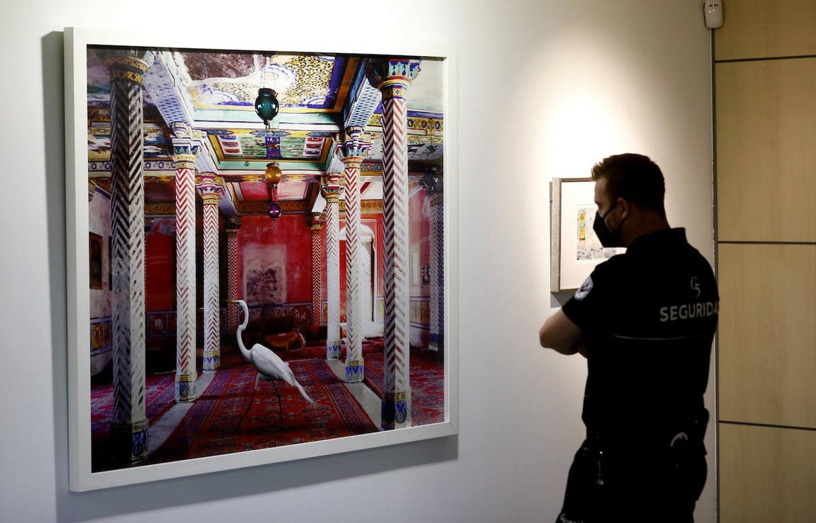 La exposición &#039;Animalario&#039;, en el centro Rafael Botí de Córdoba, en imágenes