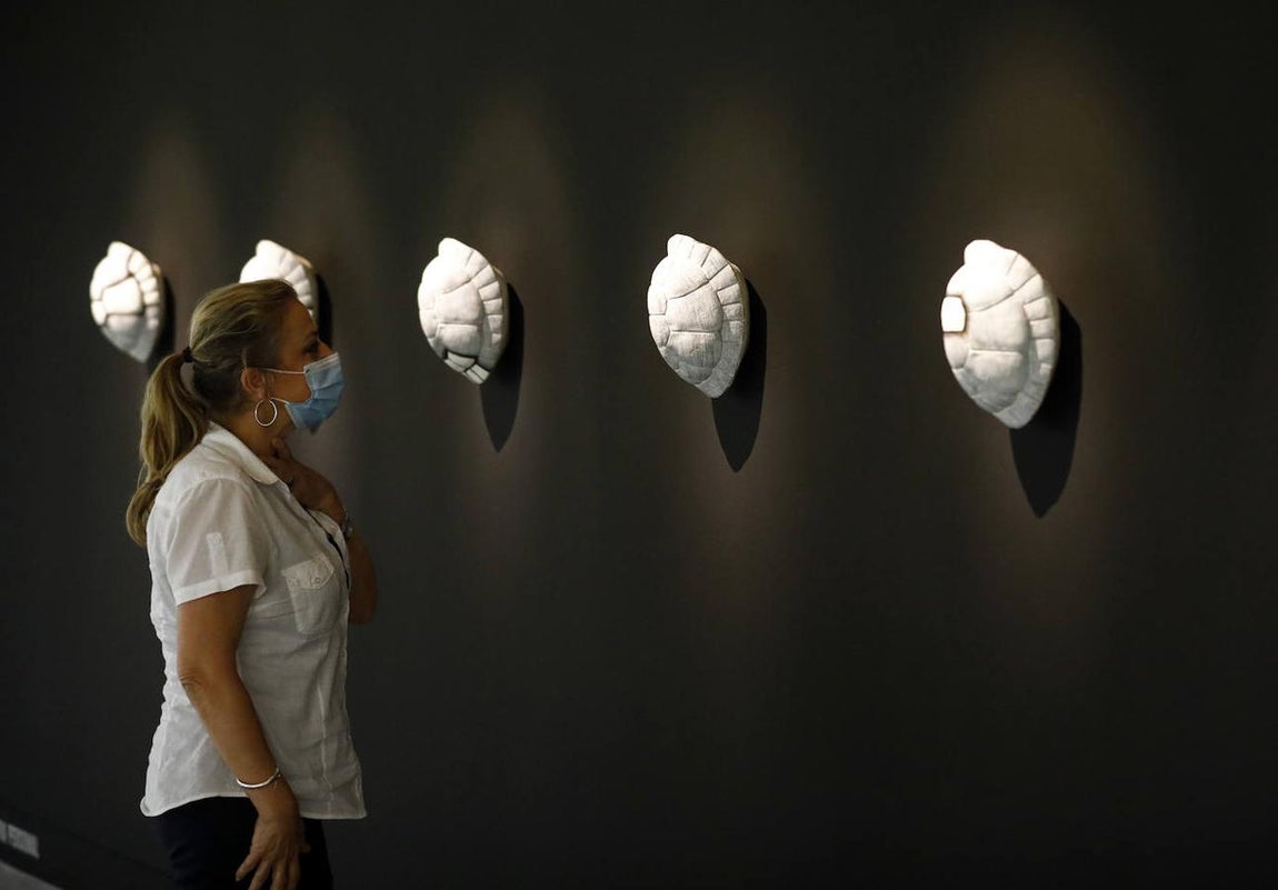 La exposición &#039;Animalario&#039;, en el centro Rafael Botí de Córdoba, en imágenes