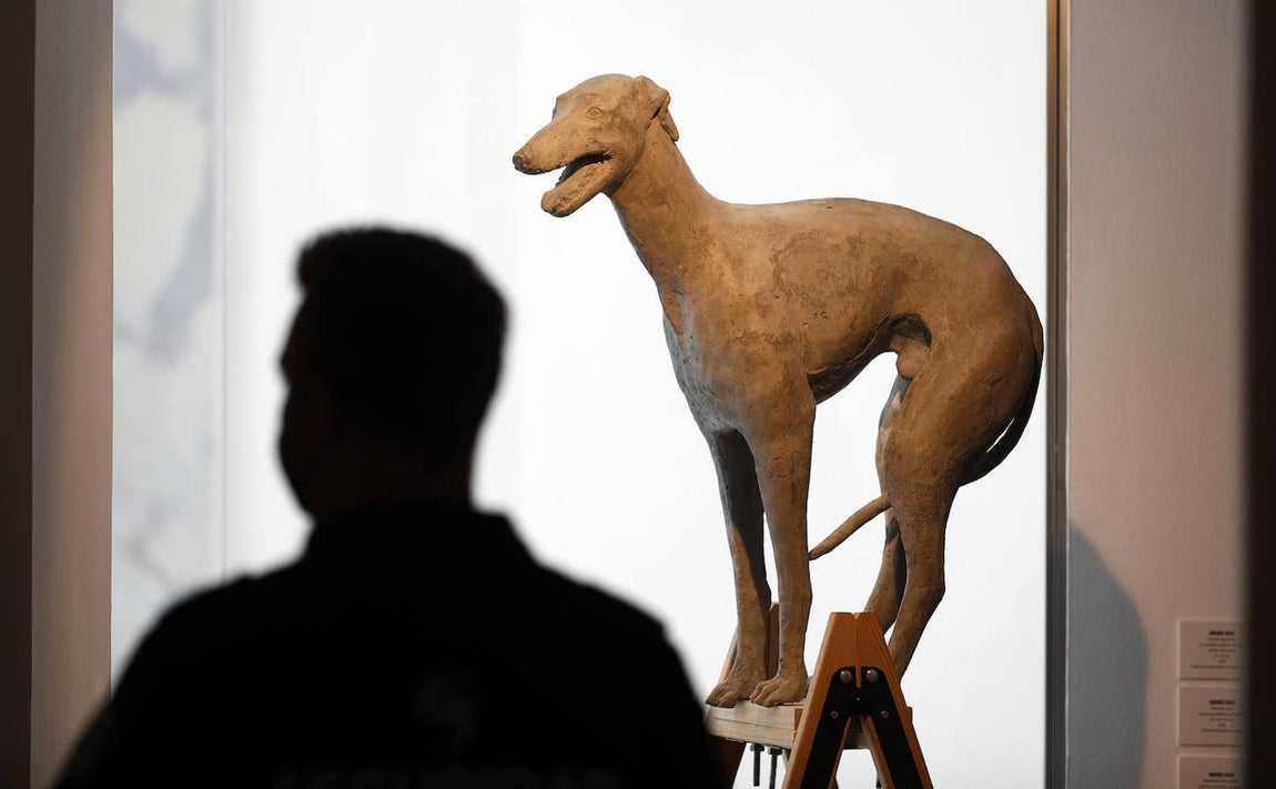 La exposición &#039;Animalario&#039;, en el centro Rafael Botí de Córdoba, en imágenes