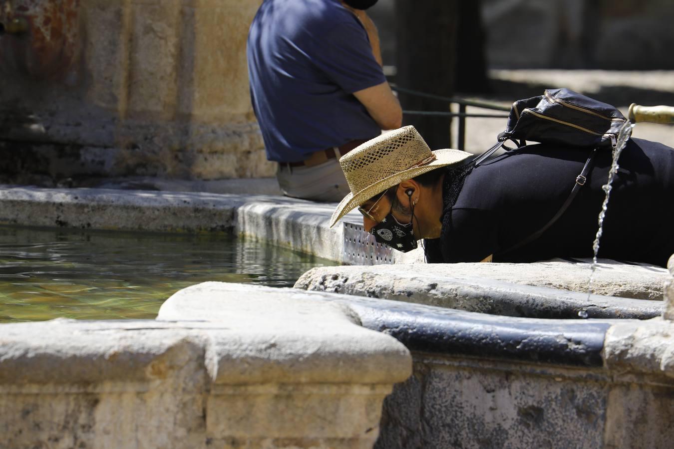 El calor en Córdoba, en imágenes